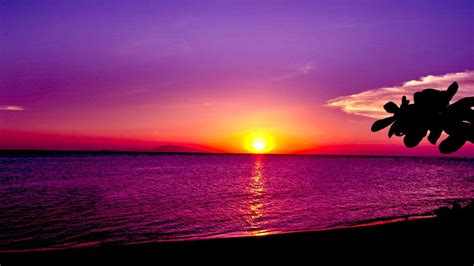 Wallpaper Sunset Desktop – Cute Wallpapers 2023