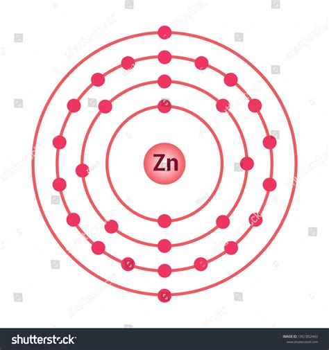 bohr model of the zinc atom. electron structure - Royalty Free Stock ...