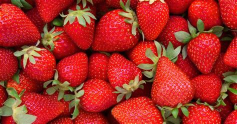 How to Plant, Grow and Harvest Strawberries