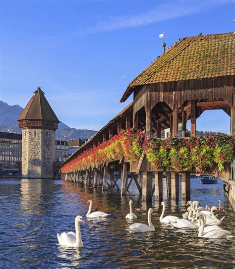 Chapel Bridge Lucerne - Built in 1333, this is a wooden bridge which ...