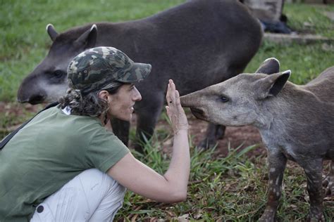 LTCI - Lowland Tapir Conservation Initiative