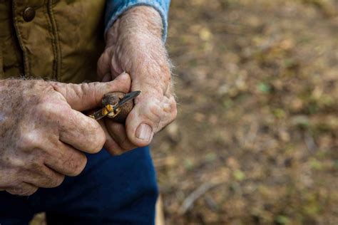 Texas Pecan Farms: A History and Where to Pick Your Own | Texas ...