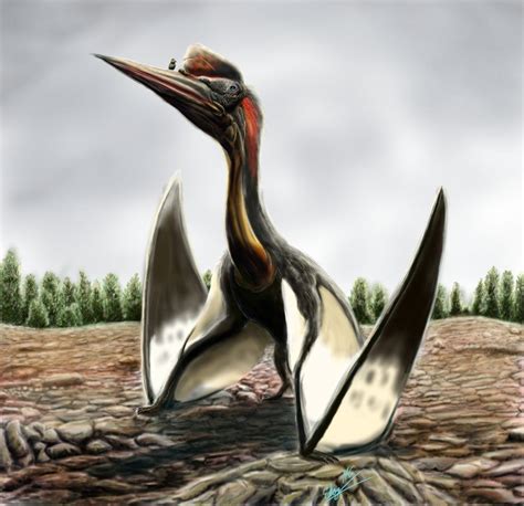 Quetzalcoatlus by EloyManzanero on DeviantArt | Pré história ...