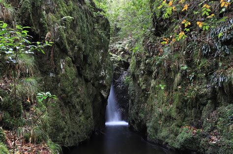 awildland: The Secret Waterfalls of Barrington Tops National Park, NSW