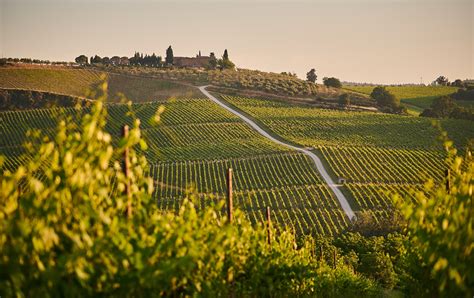 Florence Day Trips: The Best Wineries to Visit in Tuscany - Italy ...