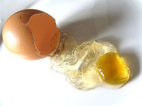 Fake egg - Molecular Gastronomy Food Blog | Molekylär gastronomi