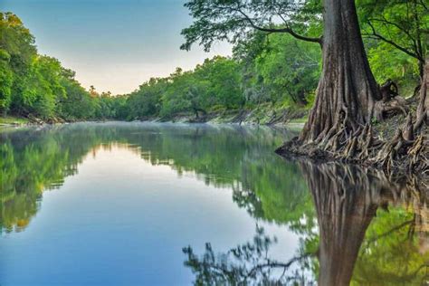 Suwannee River State Park - Florida Smart