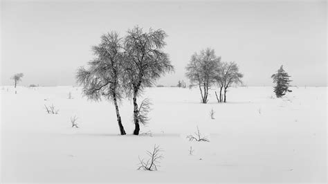 17 Tips for Winter landscape photography - The Landscape Photo Guy