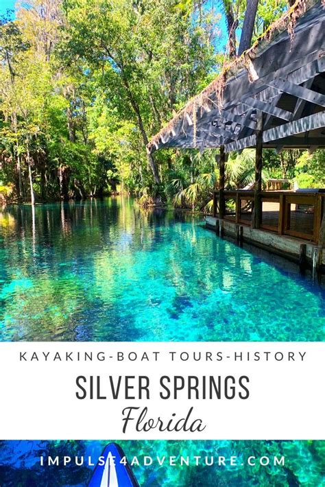 Silver Springs Kayaking and Glass Bottom Boat Tour | Boat tours, Silver ...