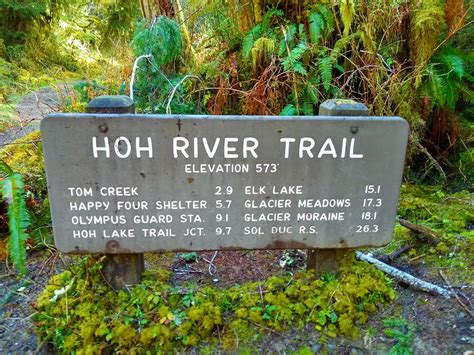 How to Visit the Hoh Rainforest – Top Left Adventures