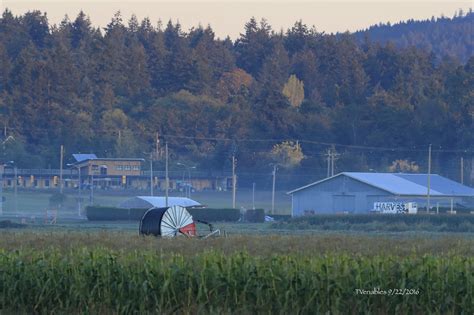 Sunrise at Saanichton - Natural Images Canada