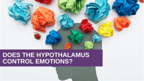 Does the Hypothalamus Control Emotions? - Genesis Gold