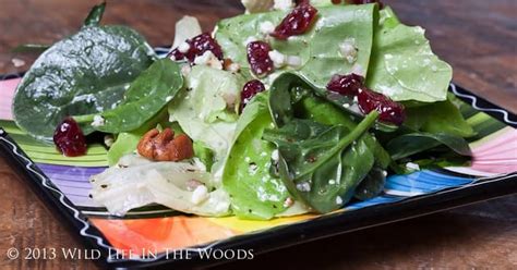 Green Leaf Lettuce Salad Recipes | Yummly