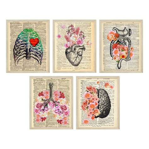 Buy Medical Dictionary, Anatomy Art - Vintage Medical Poster, Nurse ...