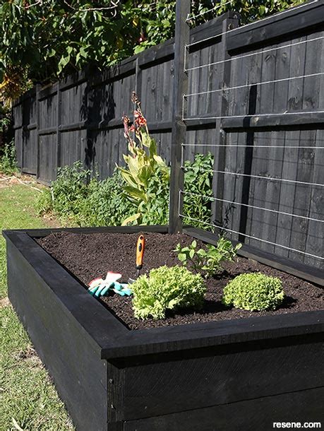 How to use wood stains to make your fence a feature