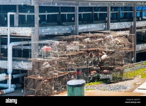 Smith Island Ferry Trip Stock Photo - Alamy