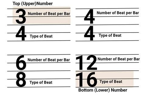 Time Signature In Musical Notation - Phamox Music