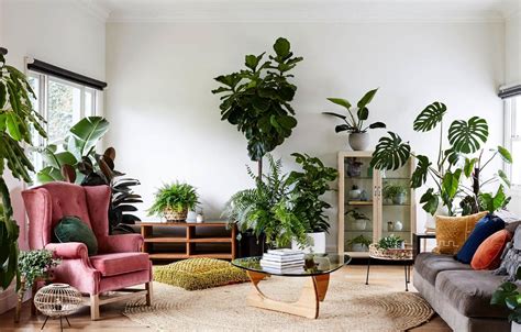 How to Decorate a Living Room with Plants: 25 Amazing Ideas