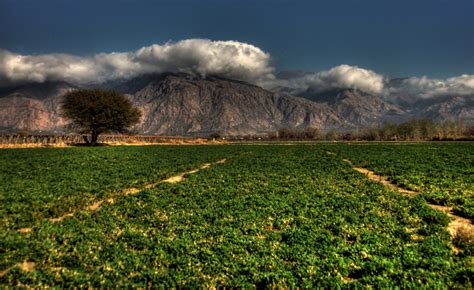 Road to Cafayate and Las Conchas Ravine