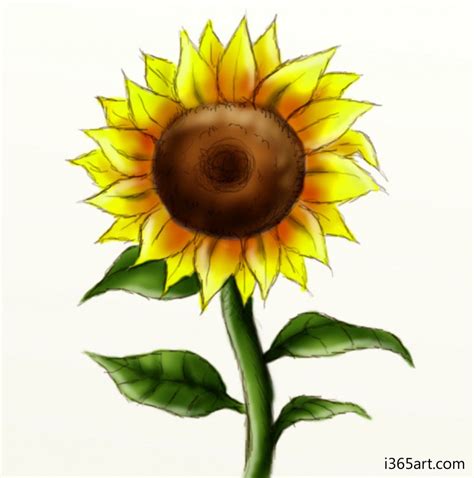 Sunflower Drawing For Kid at PaintingValley.com | Explore collection of ...