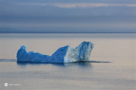 Icebergs of Newfoundland | Scott Martin Photography