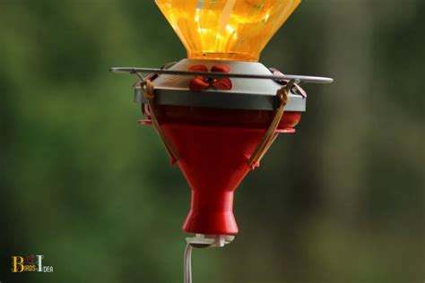 Hummingbird Feeder Heater Diy