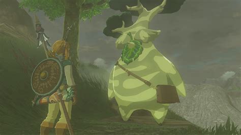 Breath of the Wild Korok Seed Locations - Zelda Dungeon