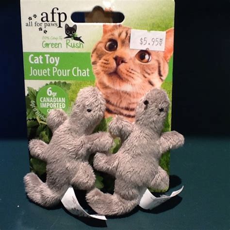 All for Paws Cat toys $5.95 | Cat toys, Cat accessories, Cats