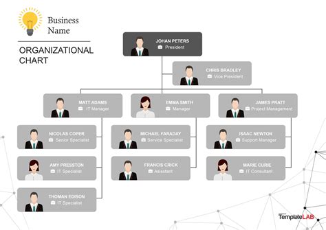 Free Organizational Chart Template Company Organization