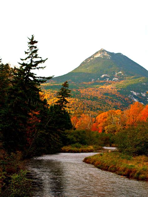 Maine Fall Foliage - Colley Hill Candle