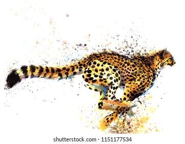 Cheetah Hand Drawn Watercolor Illustration Stock Illustration 1151177534