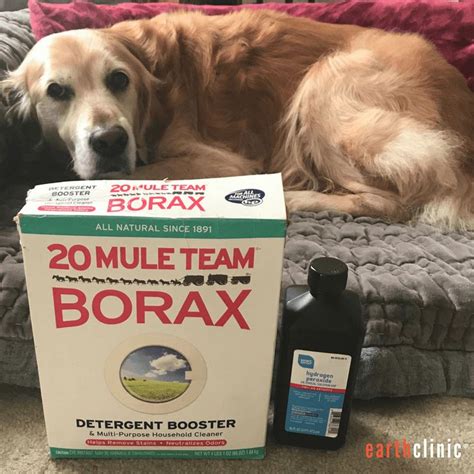 Borax for Mange - Ted's Remedy for Demodectic and Sarcoptic Mange | Dog ...