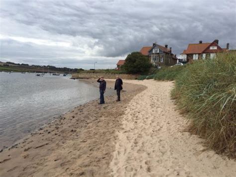 Warkworth Beach - Picture of Warkworth Beach, Warkworth - TripAdvisor