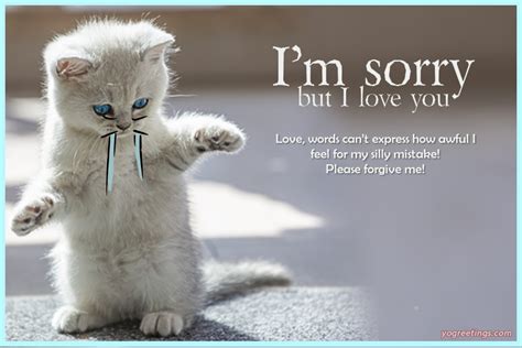 I Am Sorry Card For Lover With Cute Cat