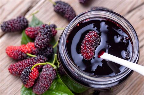 Mulberries: Nutrition Facts, Health Benefits And More- HealthifyMe