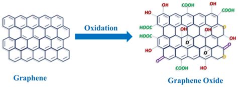 Materials | Free Full-Text | Graphene-Oxide-Enriched Biomaterials: A ...