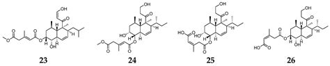 Cytotoxic Natural Products from Marine Sponge-Derived Microorganisms