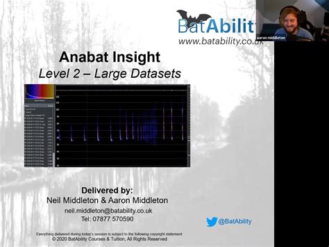 Anabat Insight Software – Level 2