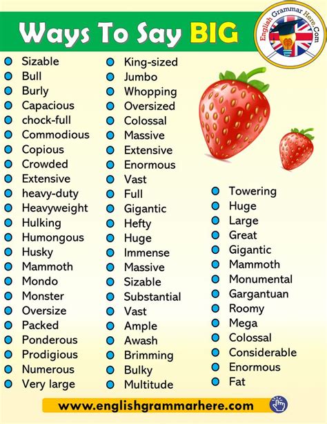 Ways To Say BIG Vocabulary in English Sizable Bull Burly Capacious ...