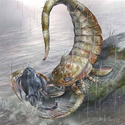 #Eurypterid Captures His Prey | *Artwork by @Ryan Durney via ...