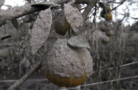 The Devastating Effects of a Volcano Eruption in North Sumatra (26 pics ...