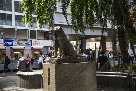 Hachiko Statue