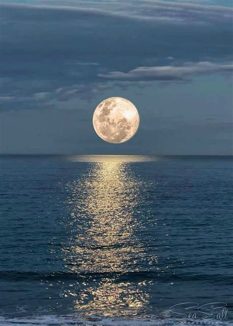 full moon over water. ️ | Locations, fun, bffz | Beautiful moon, Moon ...