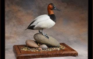 Birdman Studios Taxidermy - Waterfowlers Challenge