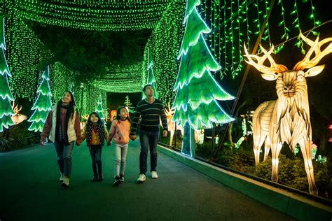 The magic of Christmas arrives to Los Angeles Zoo with amazing lights ...