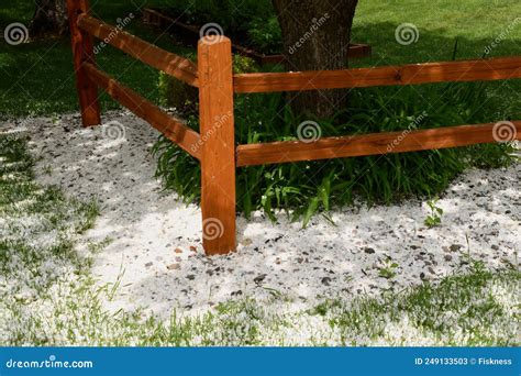 Apple Tree Blossoms Laying on the Ground Stock Image - Image of falling ...