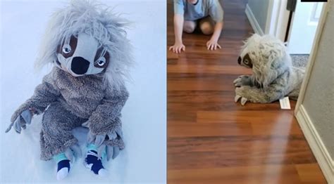 This Baby Crawling Around In A Sloth Costume Is Going To Make Your Day