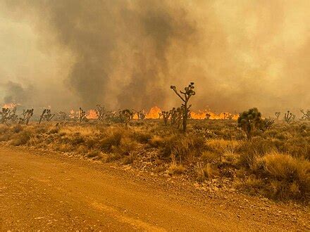 2023 California wildfires - Wikipedia