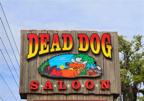 Dead Dog Saloon Photograph by Gregory A Mitchell Photography - Fine Art ...