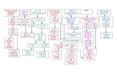 Algorithm for Cervical Screening Pap Abnormalities - Wyoming Department ...